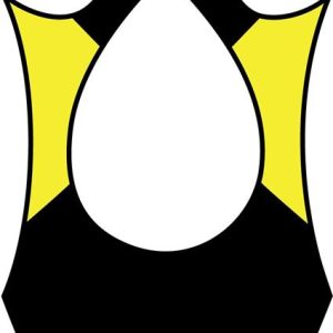 Bushey Amateur Swim Club (BASC) - BASC Swimming Costume