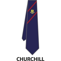 Verulam School - House Tie