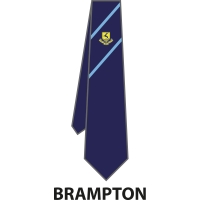Verulam School - House Tie