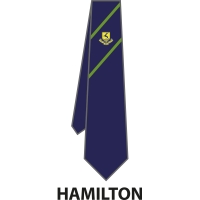 Verulam School - House Tie