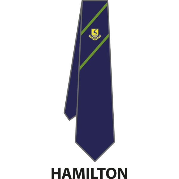 Verulam School - House Tie
