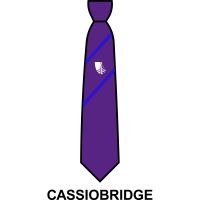Croxley Danes School - House Tie