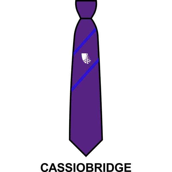Croxley Danes School - House Tie