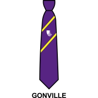 Croxley Danes School - House Tie