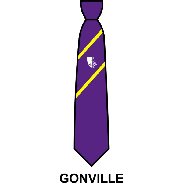 Croxley Danes School - House Tie