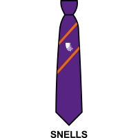 Croxley Danes School - House Tie