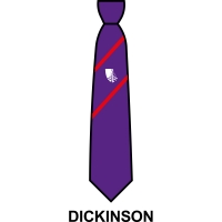 Croxley Danes School - House Tie