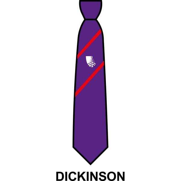 Croxley Danes School - House Tie