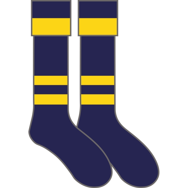 Watford Grammar School for Girls - Sports Socks