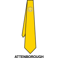 Queens School - School Tie *House Colour*