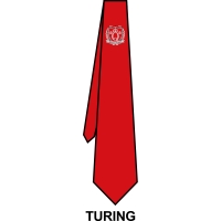 Queens School - School Tie *House Colour*