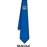 Queens School - School Tie *House Colour*