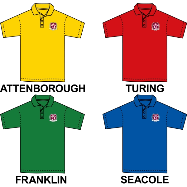 Queens School - House Colour Pe Polo Shirt