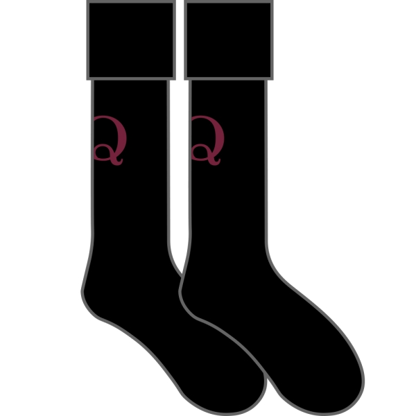 Queens School - Sports Socks