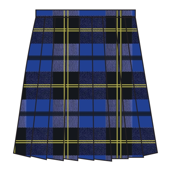 Haydon School - *New* Tartan Skirt