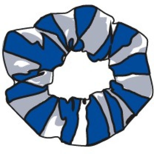 Nascot Wood Junior School - Hair Scrunchie