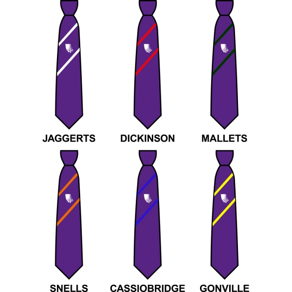 Croxley Danes School - House Tie