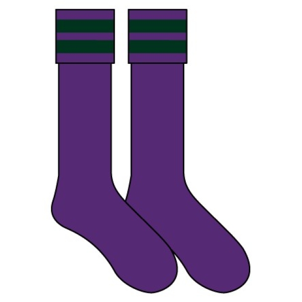 Croxley Danes School - Sport Socks