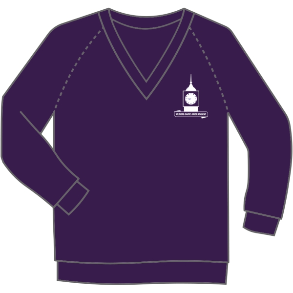Wilshere-Dacre Junior Academy - V-Neck Sweatshirt