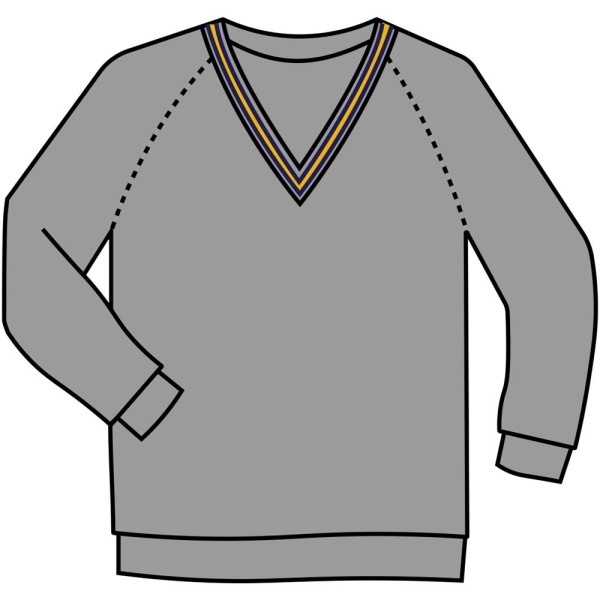 Hitchin Boys' School - V-Neck Jumper