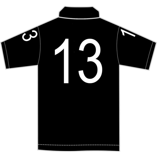 St Clement Danes School - GCSE PE Polo