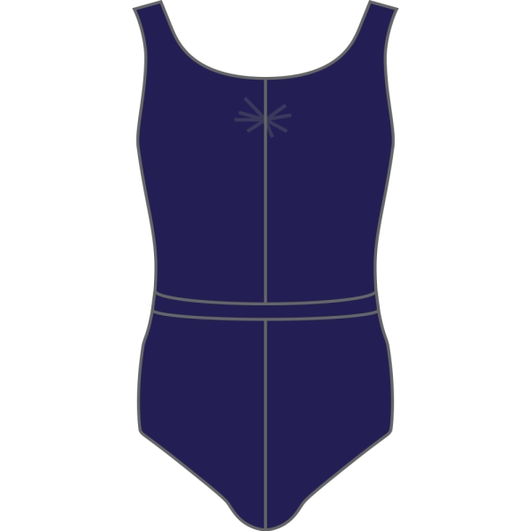Rouche Tank Navy Leotard