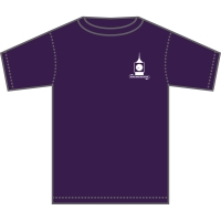 Wilshere-Dacre Junior Academy - *NEW* PE T-Shirt