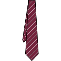Kings Langley School - School Tie