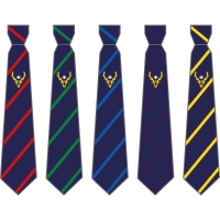Haydon School - School Tie