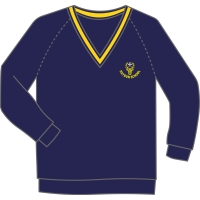 Haydon School - V-Neck Jumper