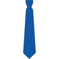 St Johns Catholic Primary School - Year 6 Tie