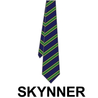 Hitchin Boys' School - House Colour School Tie