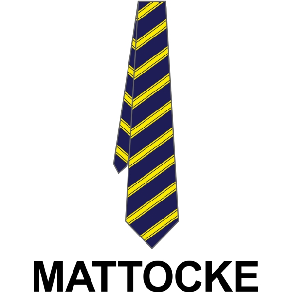 Hitchin Boys' School - House Colour School Tie