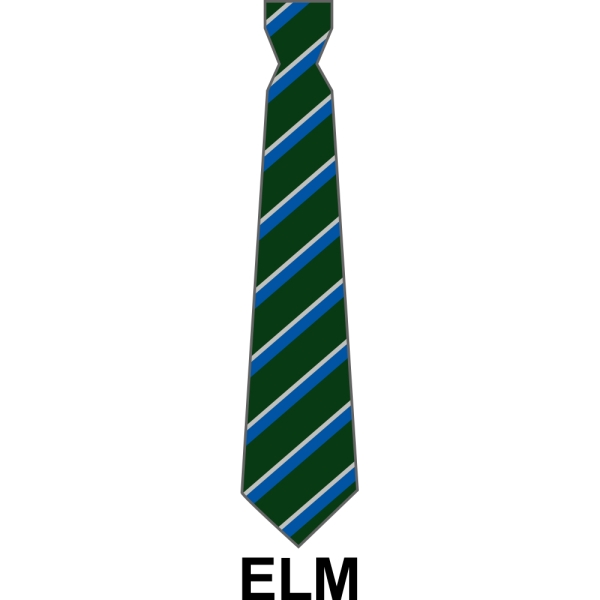 Bushey Meads School - School House Tie