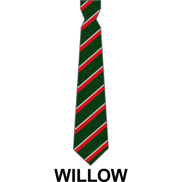 Bushey Meads School - School House Tie