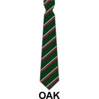 Bushey Meads School - School House Tie