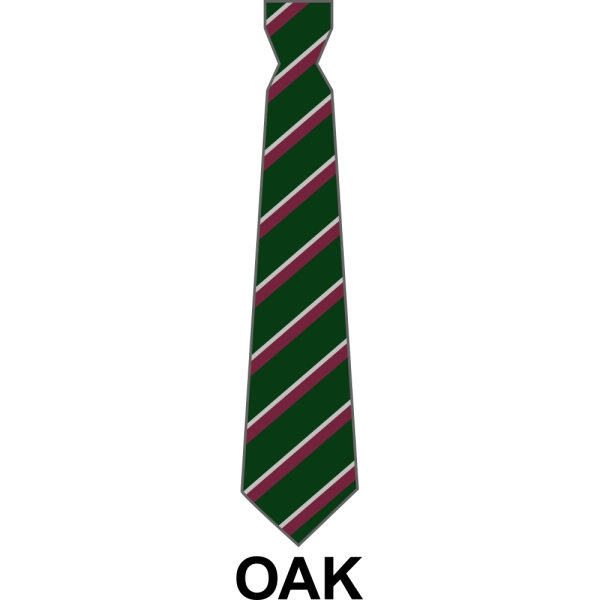 Bushey Meads School - School House Tie