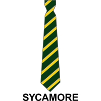 Bushey Meads School - School House Tie