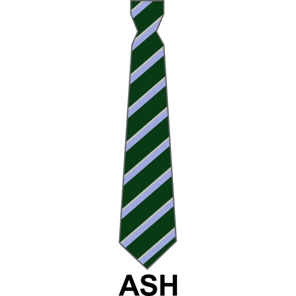 Bushey Meads School - School House Tie