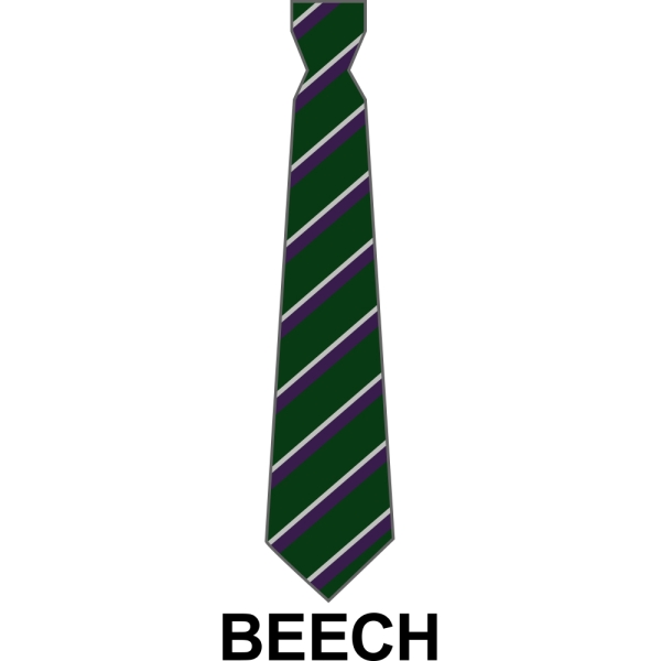 Bushey Meads School - School House Tie