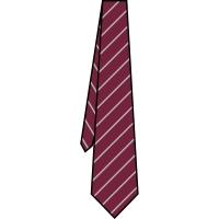 Maroon/White School Tie
