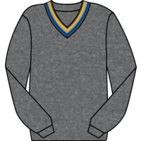 Verulam School - V-Neck Jumper with School Trim
