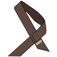 Brownies Sash