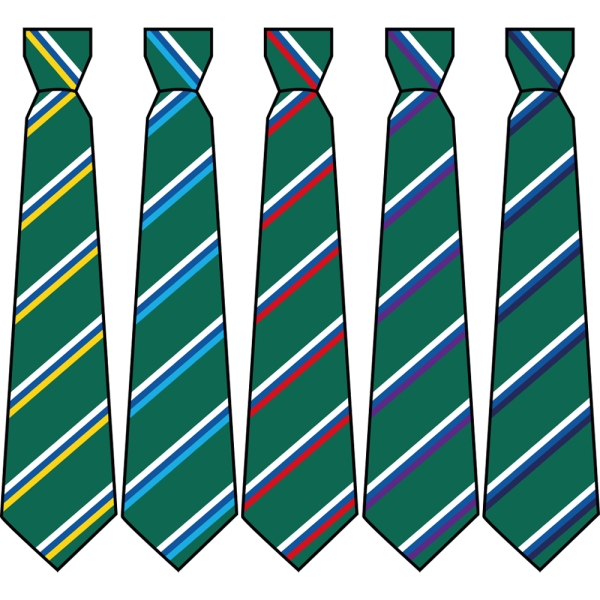 Henlow Church of England Academy - House Colour Ties