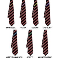 Roundwood Park School - House Tie