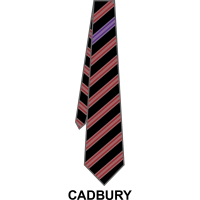 Roundwood Park School - House Tie