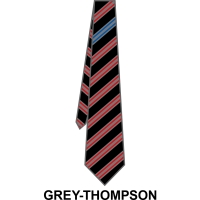 Roundwood Park School - House Tie