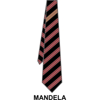 Roundwood Park School - House Tie