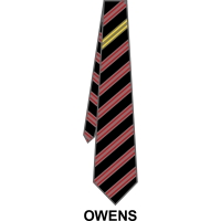 Roundwood Park School - House Tie