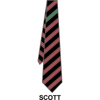 Roundwood Park School - House Tie